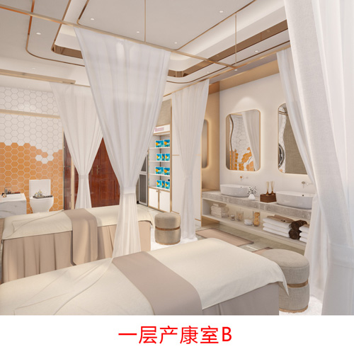 河北专业吸奶器出租哪家好